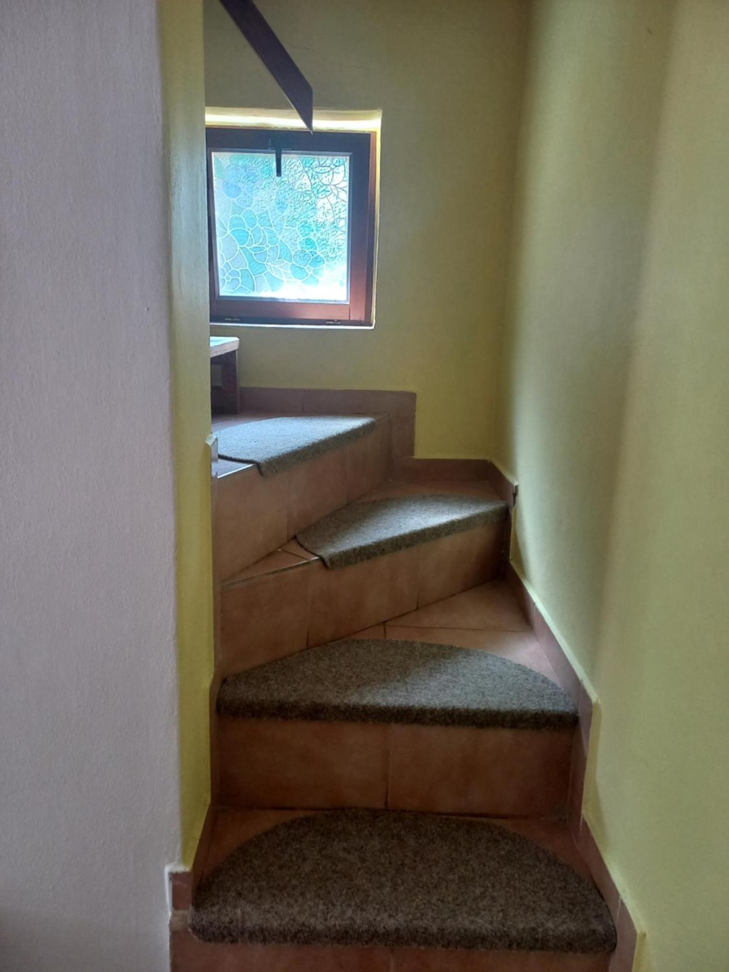 Prušánky Penzion Nechorka מראה חיצוני תמונה